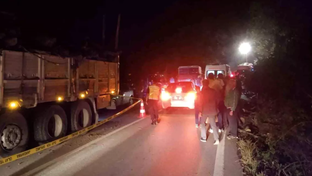 Fatsa’da Tomruk Devrilmesi: Sürücü Hayatını Kaybetti