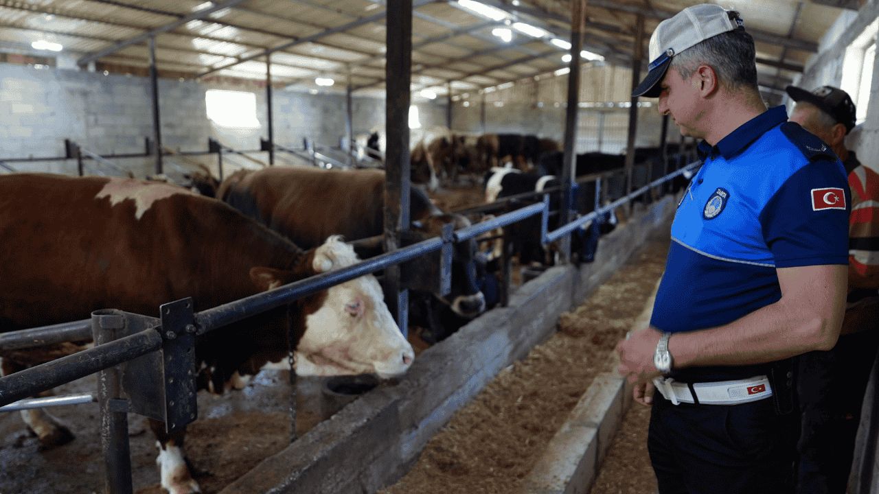 DÜZCE’DE KURBAN KESİM VE SATIŞ YERLERİNDE DENETİMLER BAŞLADI