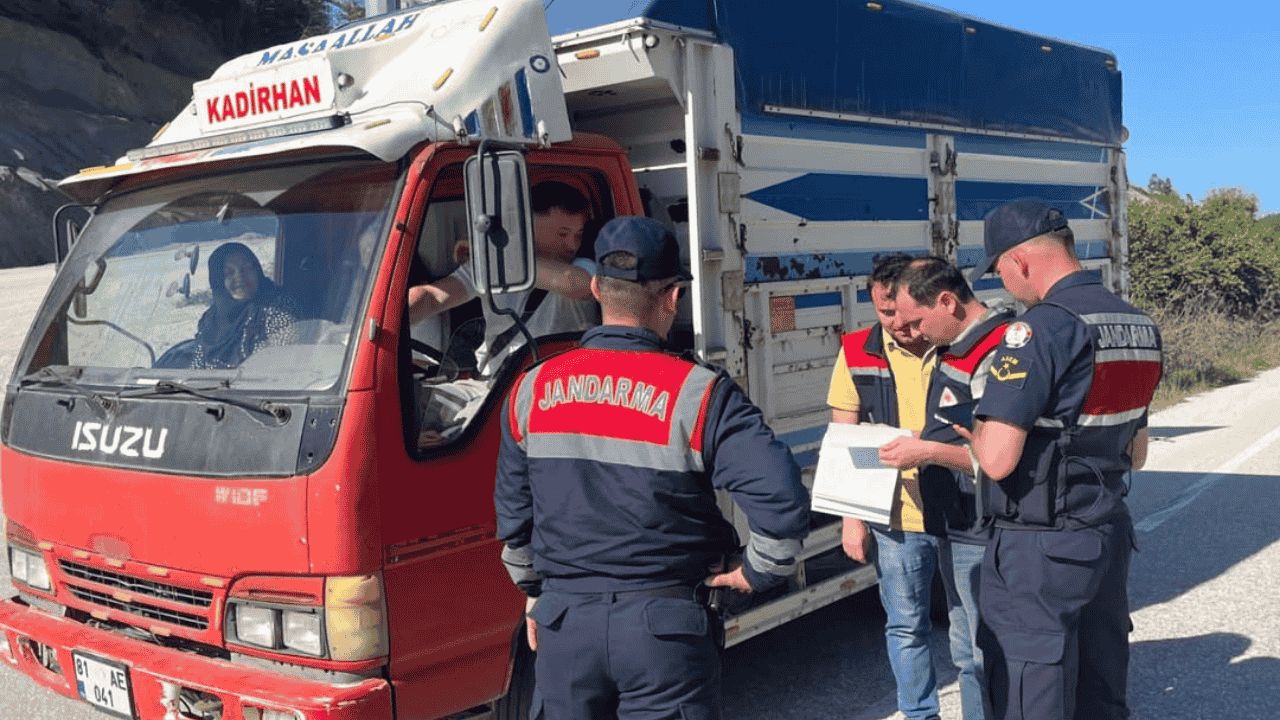 YIĞILCA’DA KURBAN BAYRAMI ÖNCESİ HAYVAN NAKİL ARAÇLARINA SIKI DENETİM