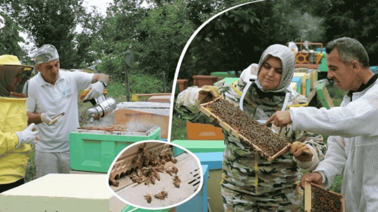 İL MÜDÜRÜ ESRA UZUN, 20 MAYIS DÜNYA ARI GÜNÜ’NÜ KUTLADI