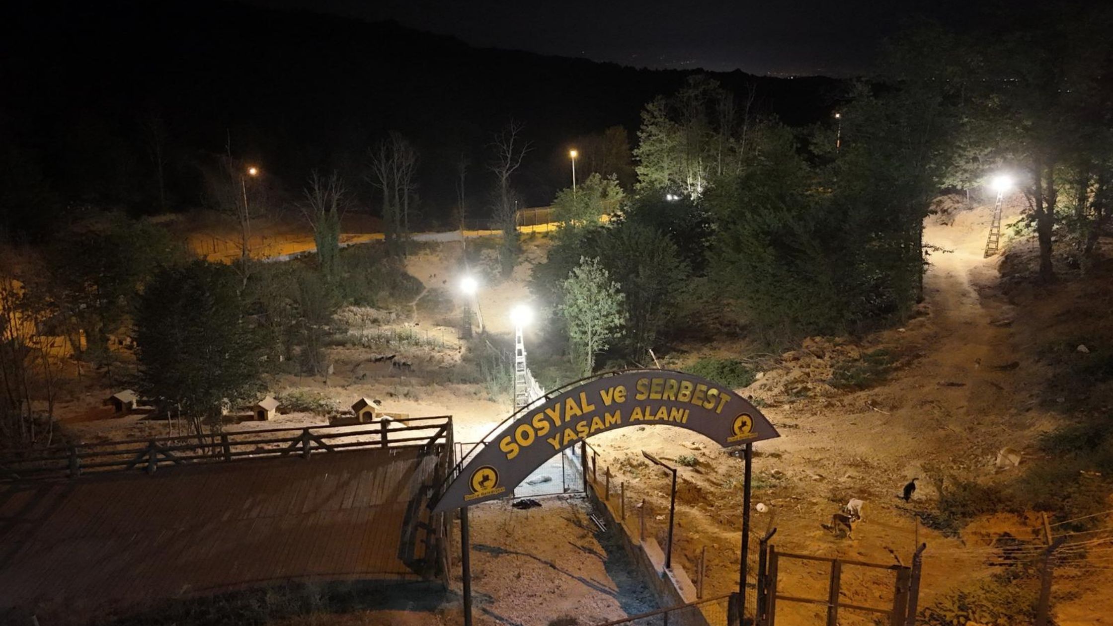 DÜZCE’DE SOKAK HAYVANLARI İÇİN ÖRNEK PROJE HAYATA GEÇİRİLİYOR