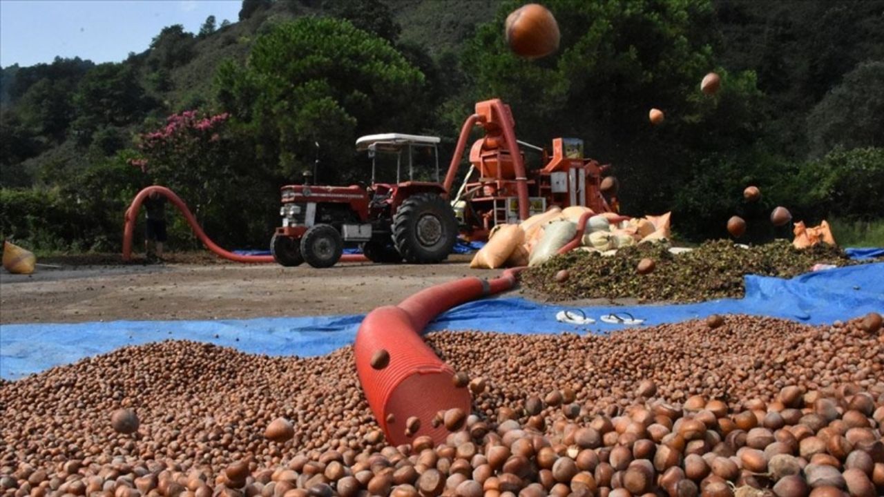 Düzce’de Çiftçinin Sıcakla ve Maliyetle İmtihanı Mazot Fiyatları Bel Büküyor