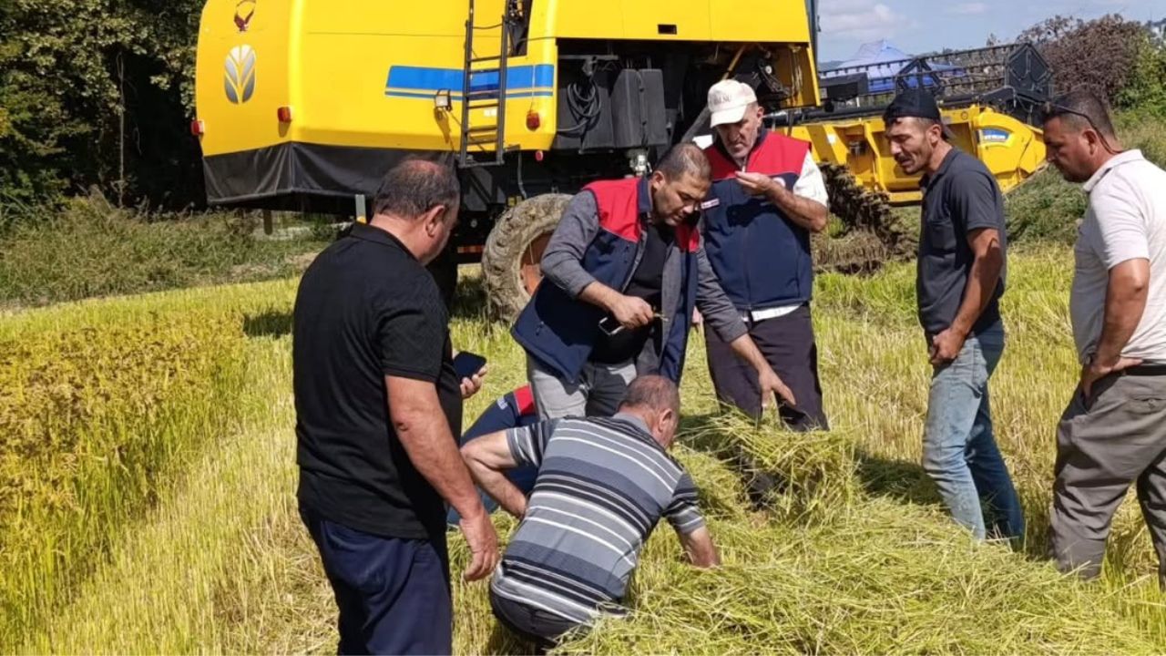 Düzce’de Biçerdöver Kontrolleri ve Anız Uyarıları Sürüyor