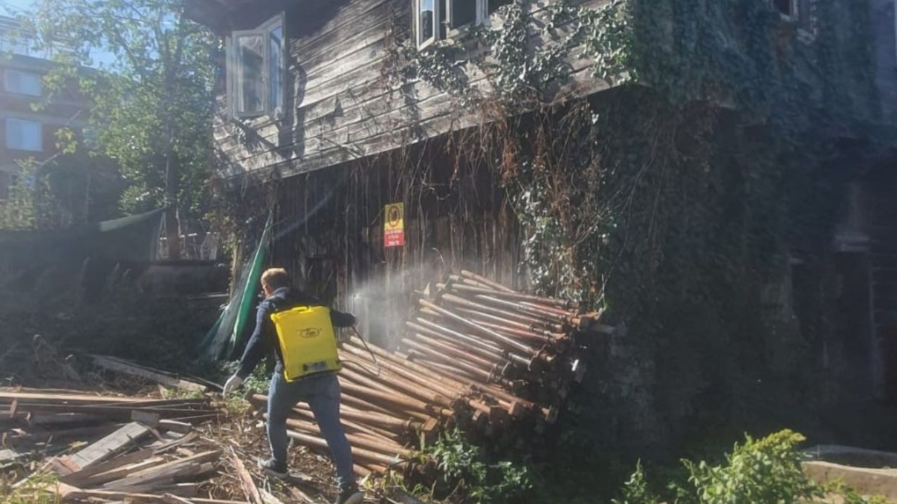 Akçakoca’da Kış Öncesi Kahverengi Kokarcaya Karşı İlaçlama Başladı