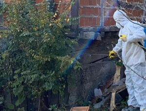 Mengen Köyü’nde Kahverengi Kokarca ile Kışlak Mücadelesi Yapıldı