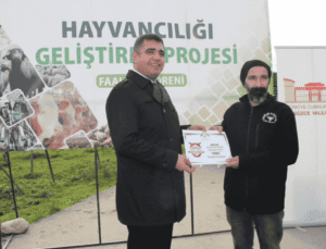 Düzce’de Manda Yetiştiriciliğine Güçlü Destek: 17 Damızlık Boğa Üreticilere Teslim Edildi