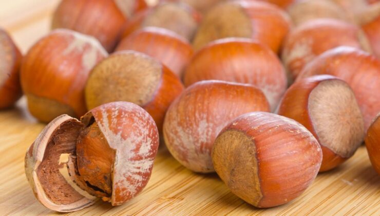 Düzce’de Fındık Fiyatları Düşüşte: 18 Nisan Verileri Açıklandı