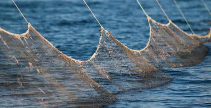 Denizlerde Av Yasağı 15 Nisan’da Başlıyor